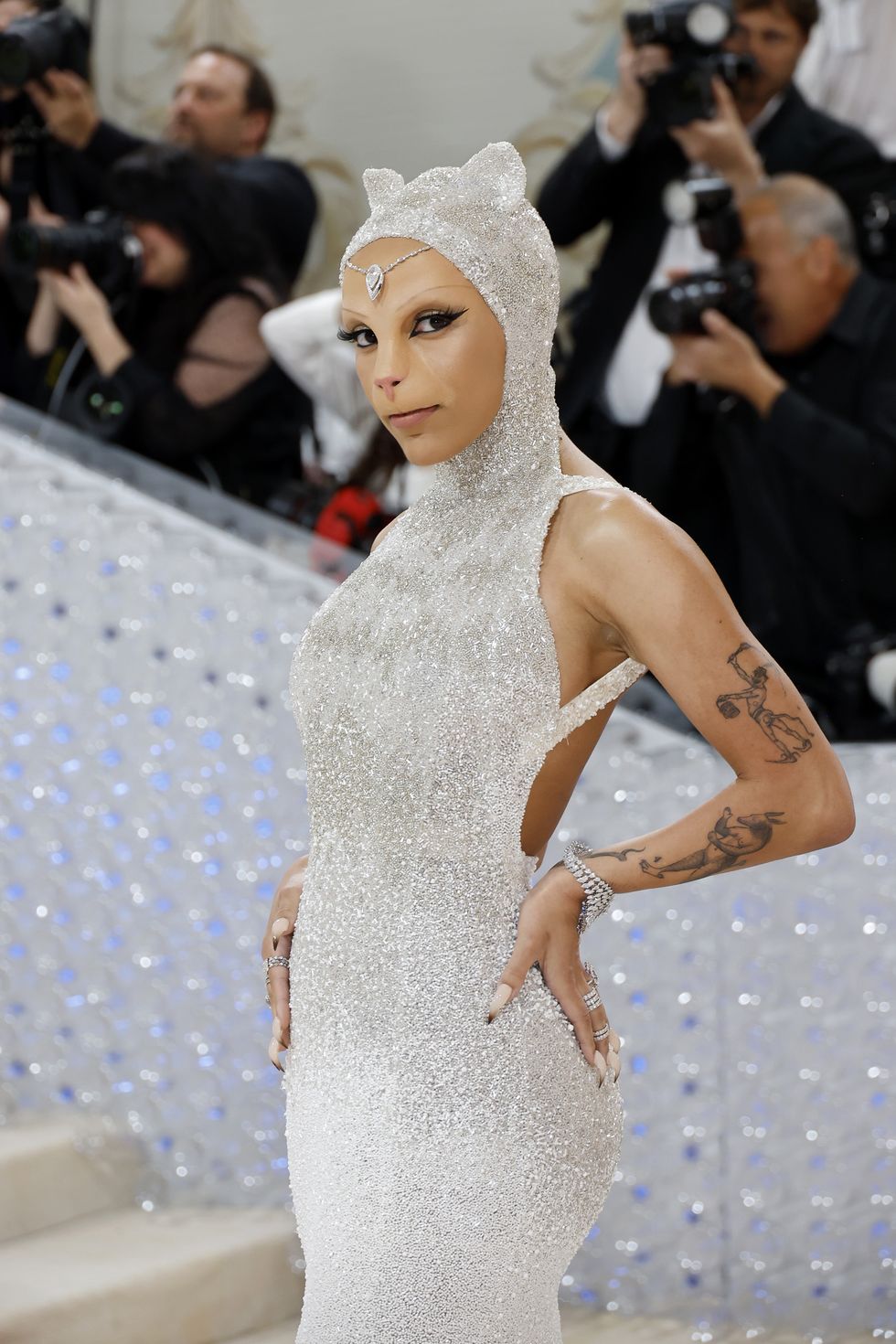 Who is your zodiac sign on the met gala 2023 red carpet?