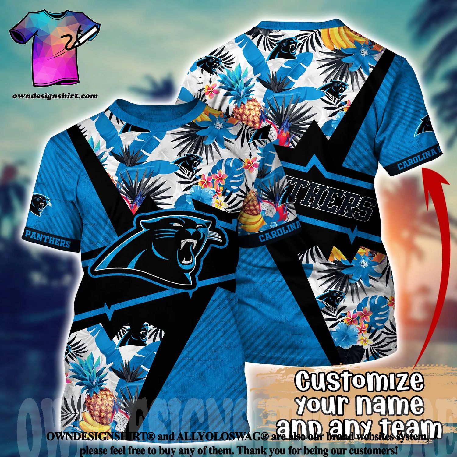 Carolina Panthers NFL Football Custom Name Hawaiian Shirt Style