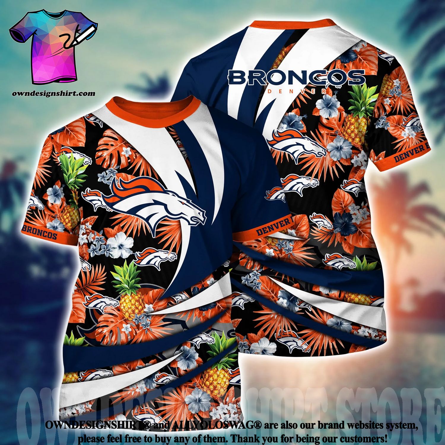 Denver Broncos Cat Jersey – 3 Red Rovers